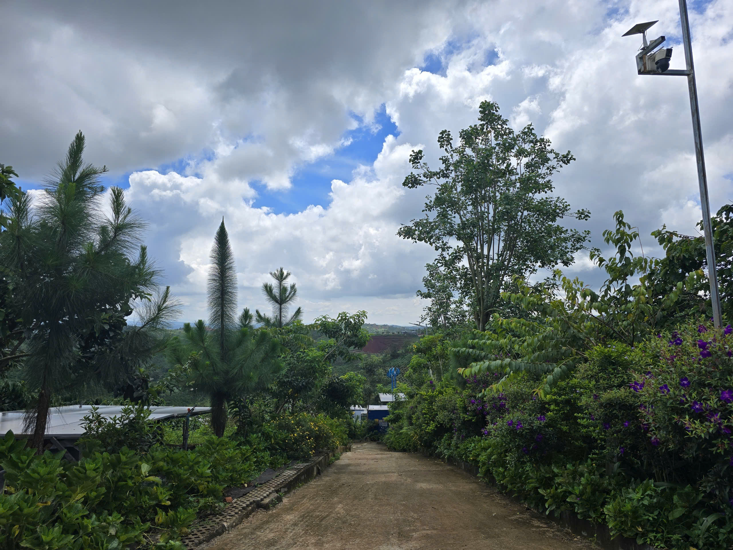 Tiện ích